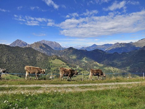 Immagine Escursione Valle Imagna