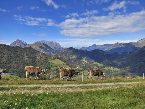 Valle Imagna Immagine Valle Imagna